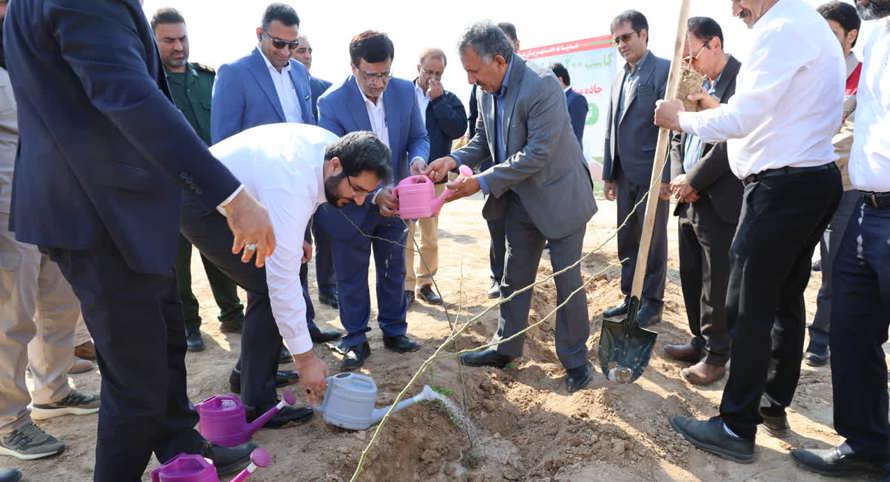 نهالکاری میلیونی پتروشیمی مارون